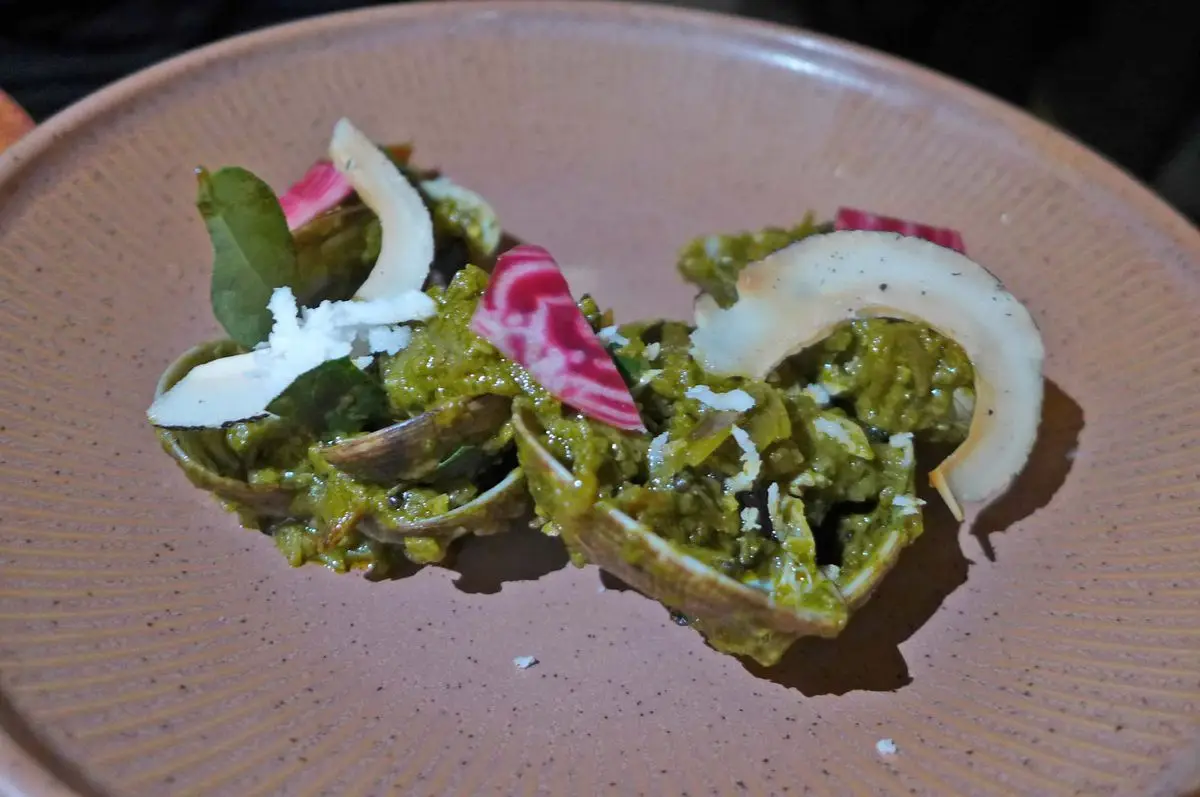 A tangle of clams with green sauce.