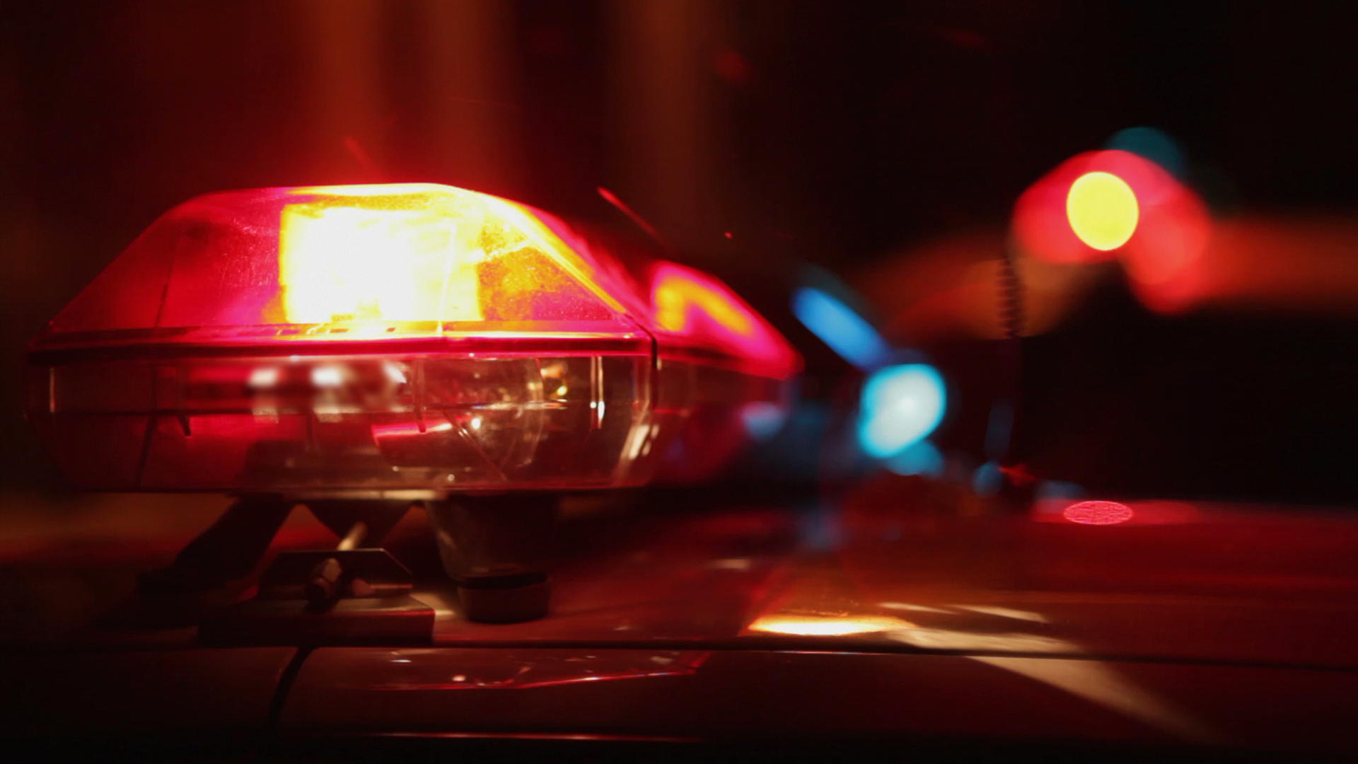 Police: 80-year-old woman’s car stolen, wrecked in Albany
