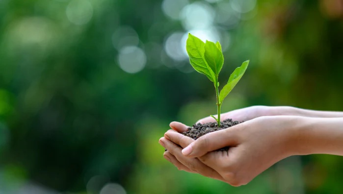 Top 10 Companies for CSR in Environment Conservation in 2023