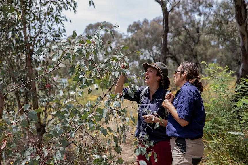 Two women examine the branch of a tree during a cultural burn.