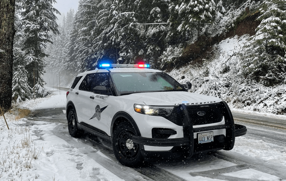 Car found 50 feet off Mount Baker Highway this morning