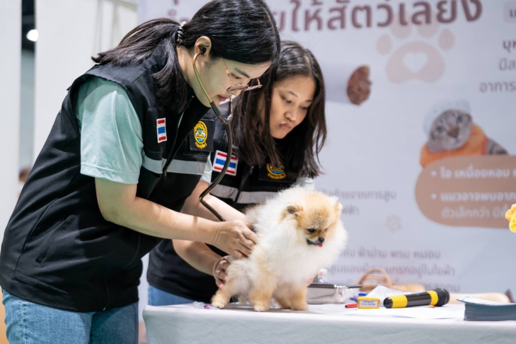 “ควันบุหรี่มือสอง”อันตรายต่อสัตว์เลี้ยง สังเกตอาการหมา-แมว หอบ อาเจียน