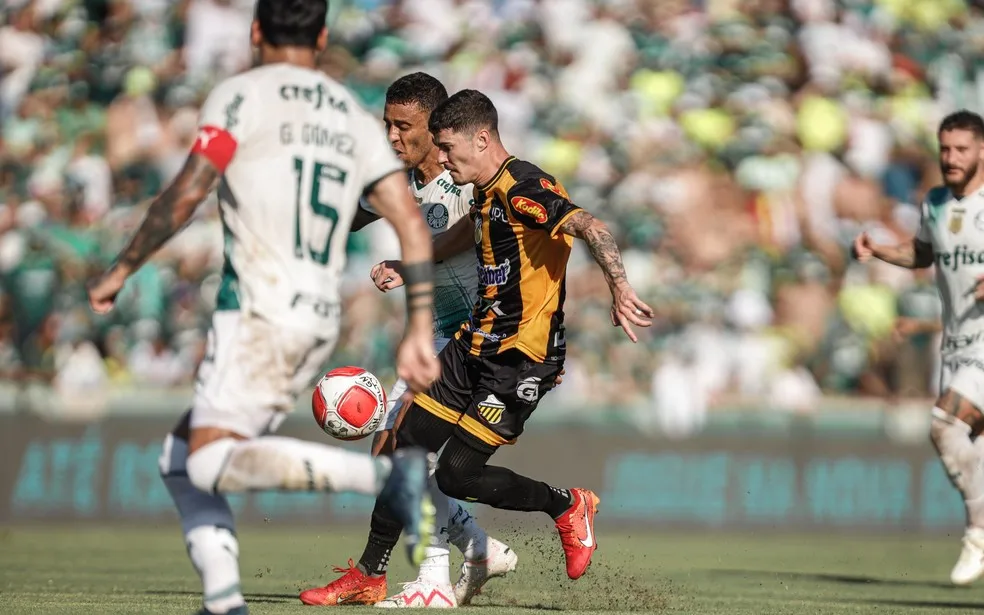 Novorizontino x Palmeiras, Rômulo, Paulistão — Foto: Gustavo Ribeiro/Novorizontino