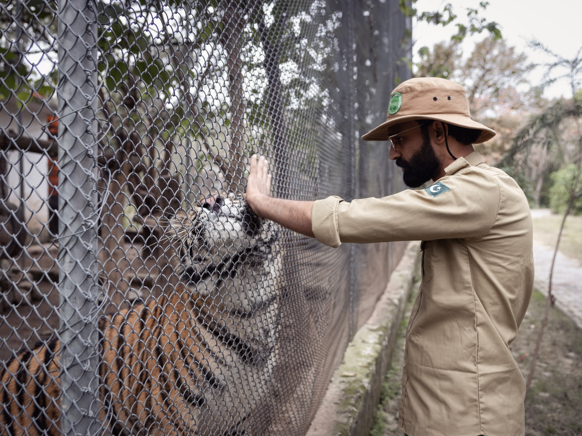 Photos: Pakistan’s zoo-turned-wildlife rescue hub gives big cats new life