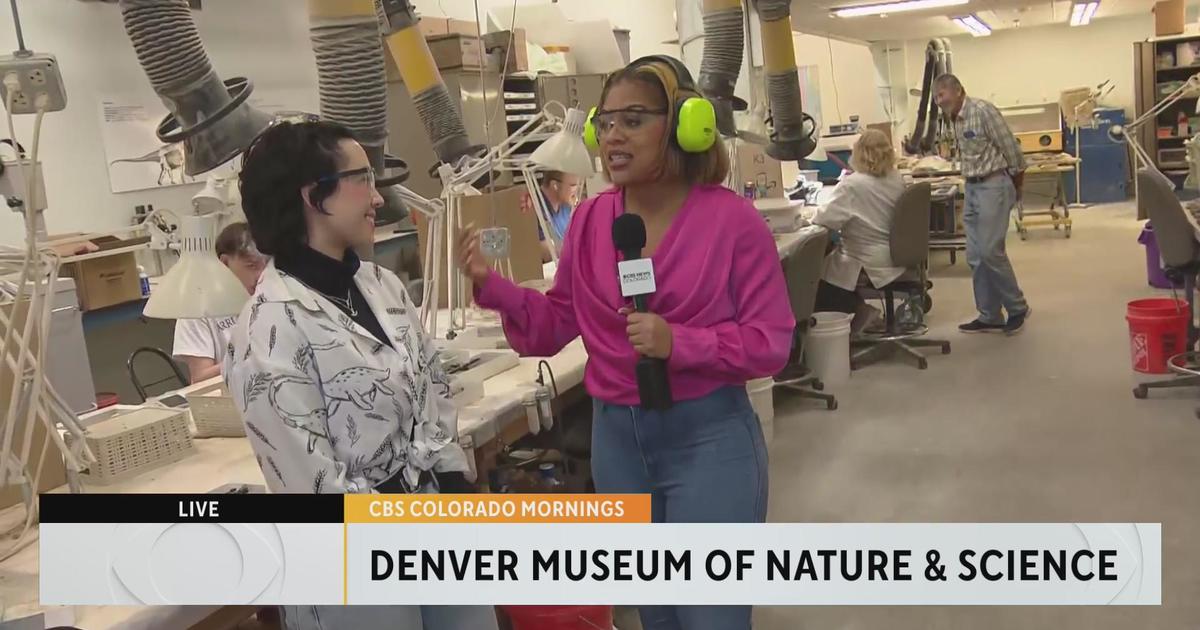 Girls and Science celebrates 10 years at Denver Museum of Nature & Science