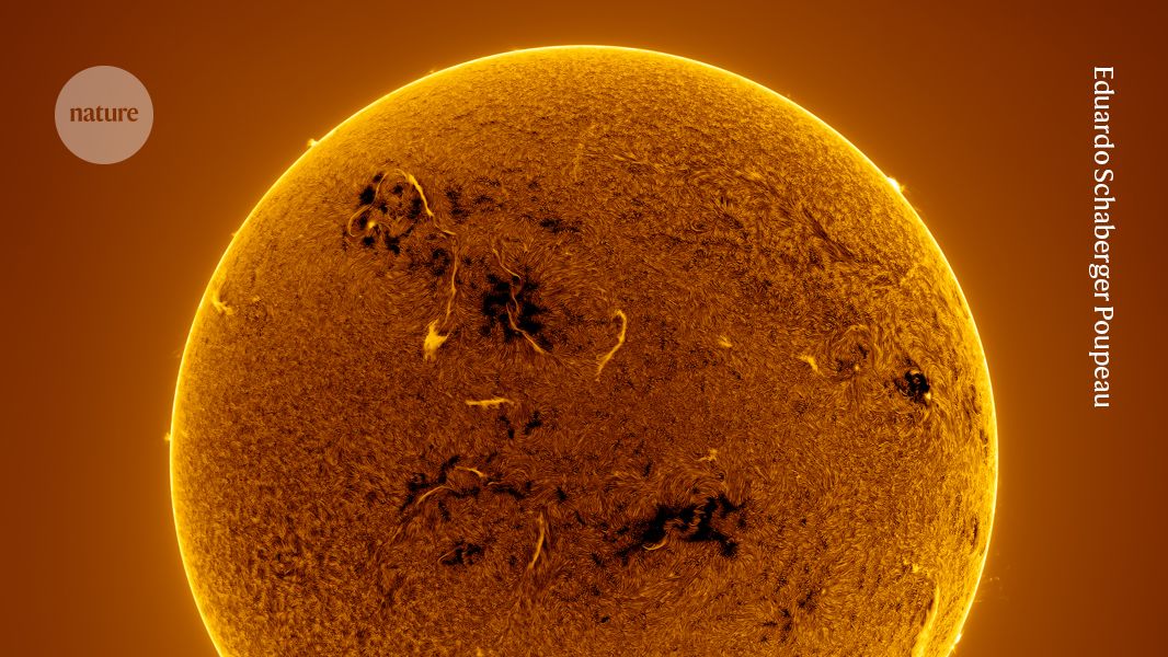 Giant plume of plasma on the Sun’s surface and more — February’s best science images