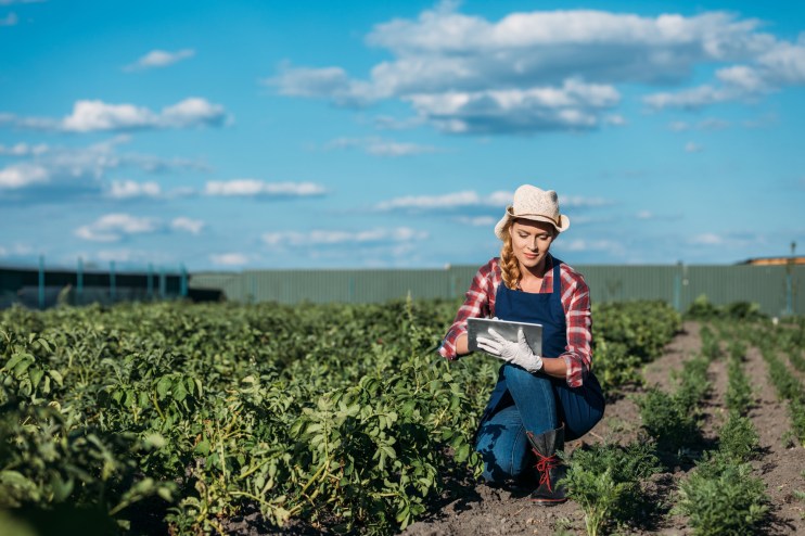 Mentorship Program for Women in Food and Agriculture