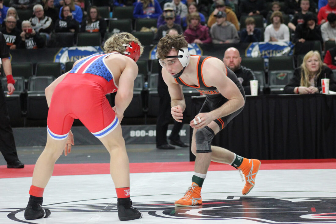 Tigers shine at state tournament