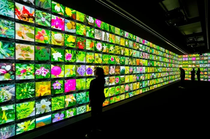 People stand close to a long screen on the walls of an art gallery which is showing a profusion of colourful images on a grid