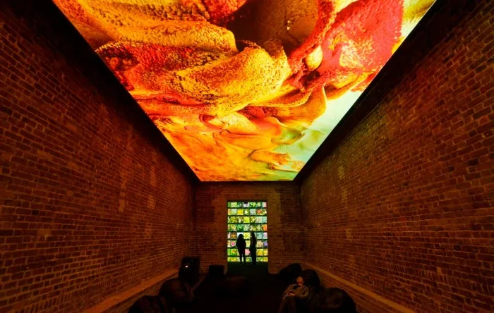 In a brick-walled room in an art gallery, colourful organic images are projected on to a screen on the ceiling