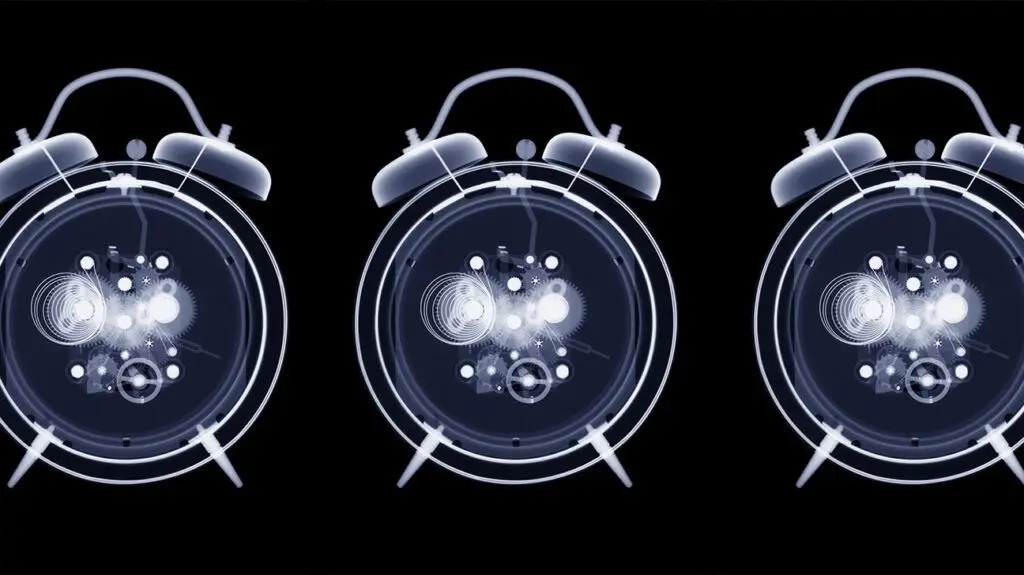 An x-ray of the inner workings of an alarm clock