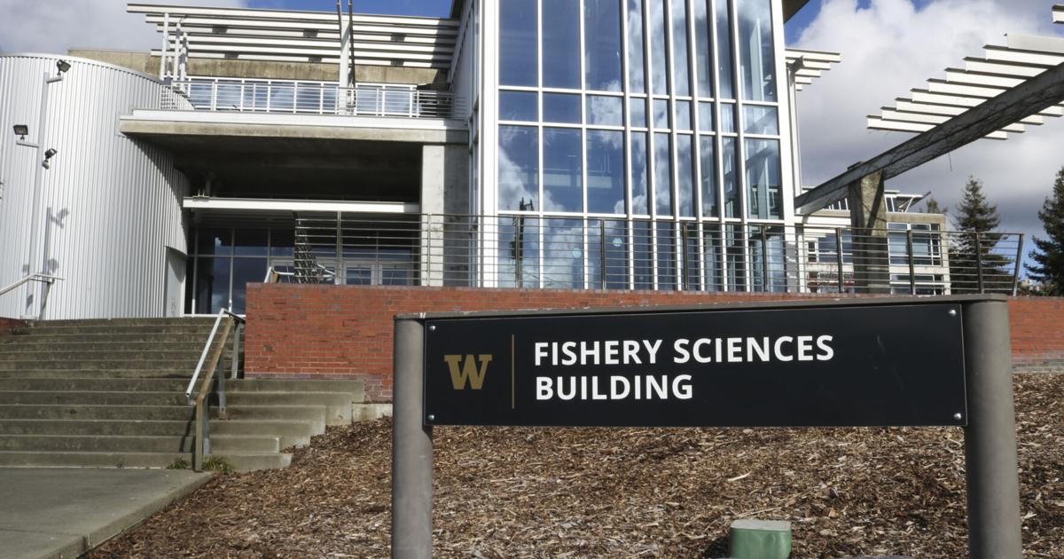 UW’s EarthLab announces environmental justice-themed visual arts contest