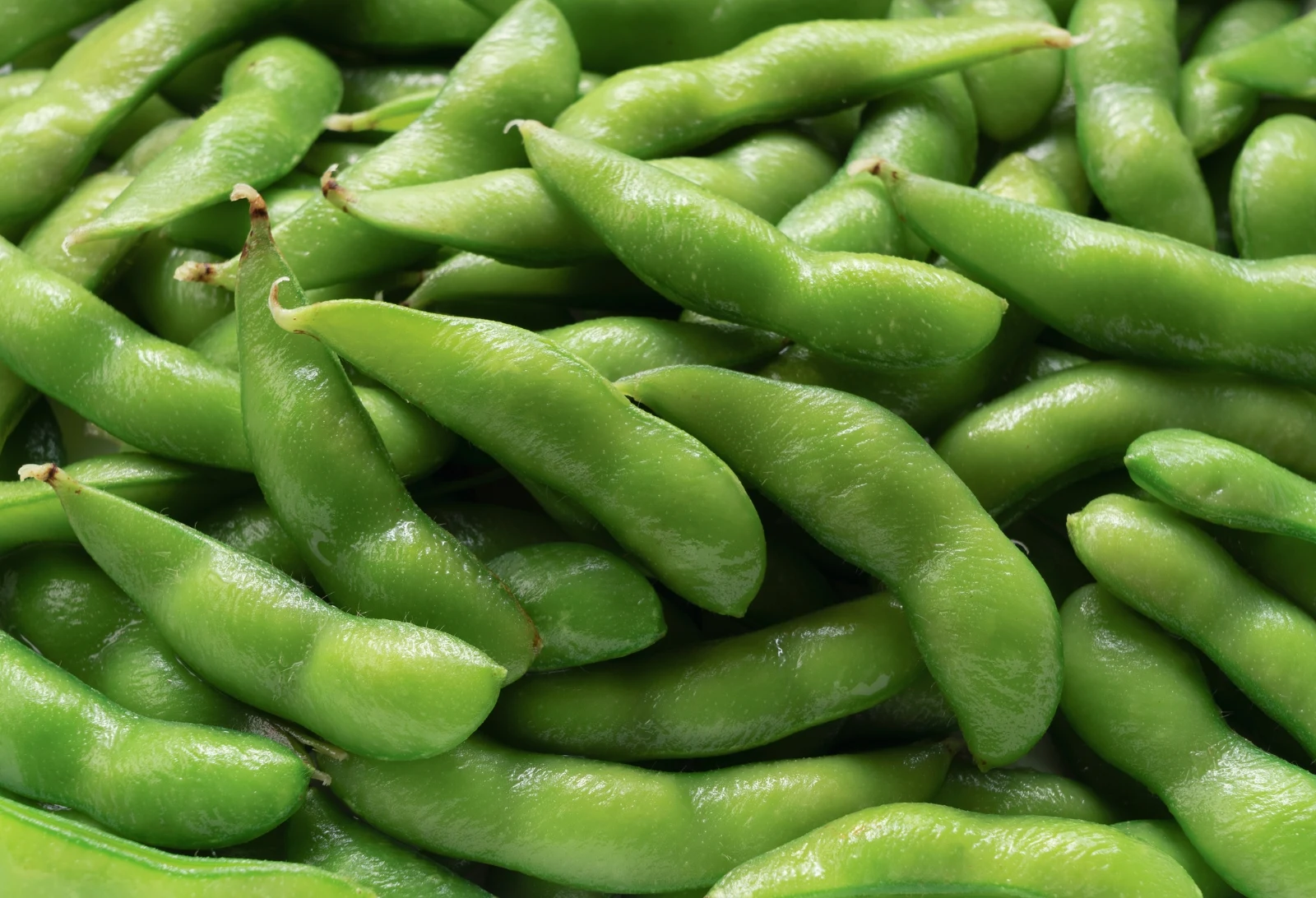 Edamame_masa44-iStock-1254912145.jpg