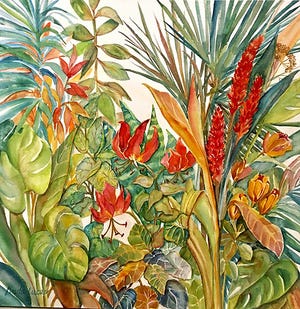 Nature Notes: Babcock Ranch Art Show; Shell Museum & Aquarium reopens