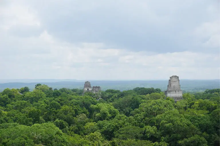 The Maya Biosphere Reserve in Guatemala. Large-scale deforestation in the region has been linked, in part, to narco-trafficking, say experts.