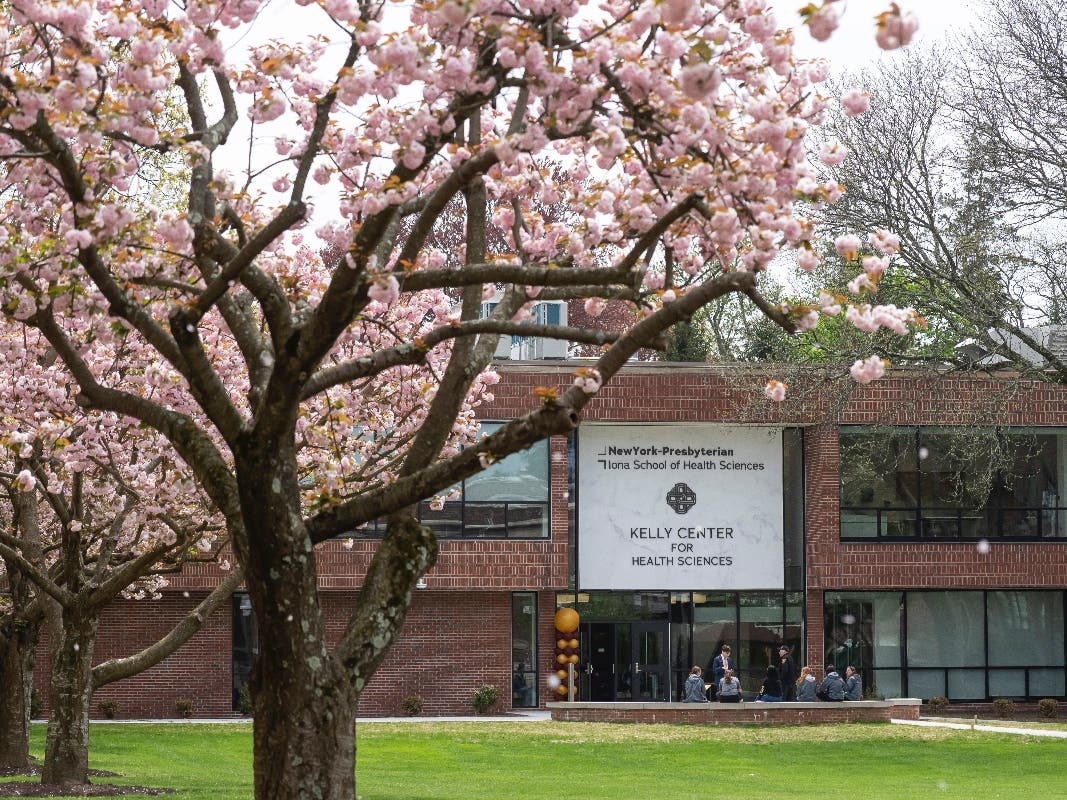 New Grant Will Help Iona Offer Mental Health Workshops In Bronxville