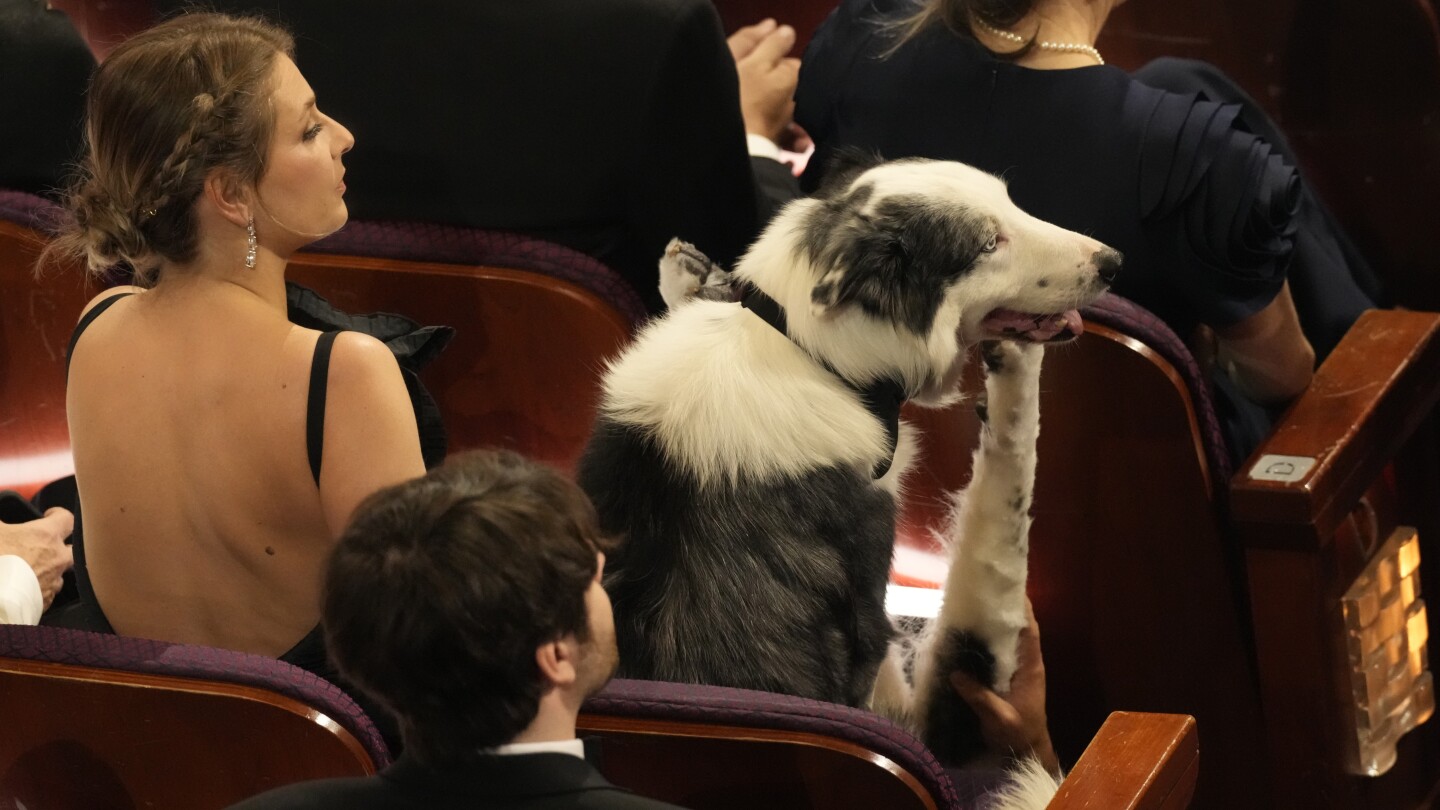 Messi the celebrity dog made it to the Oscars. Here’s how the show pulled off his (clapping) cameo