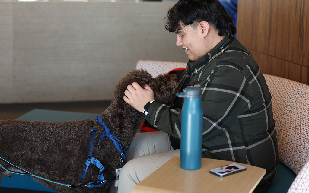 Schools use therapy dogs to provide mental health support for students and faculty