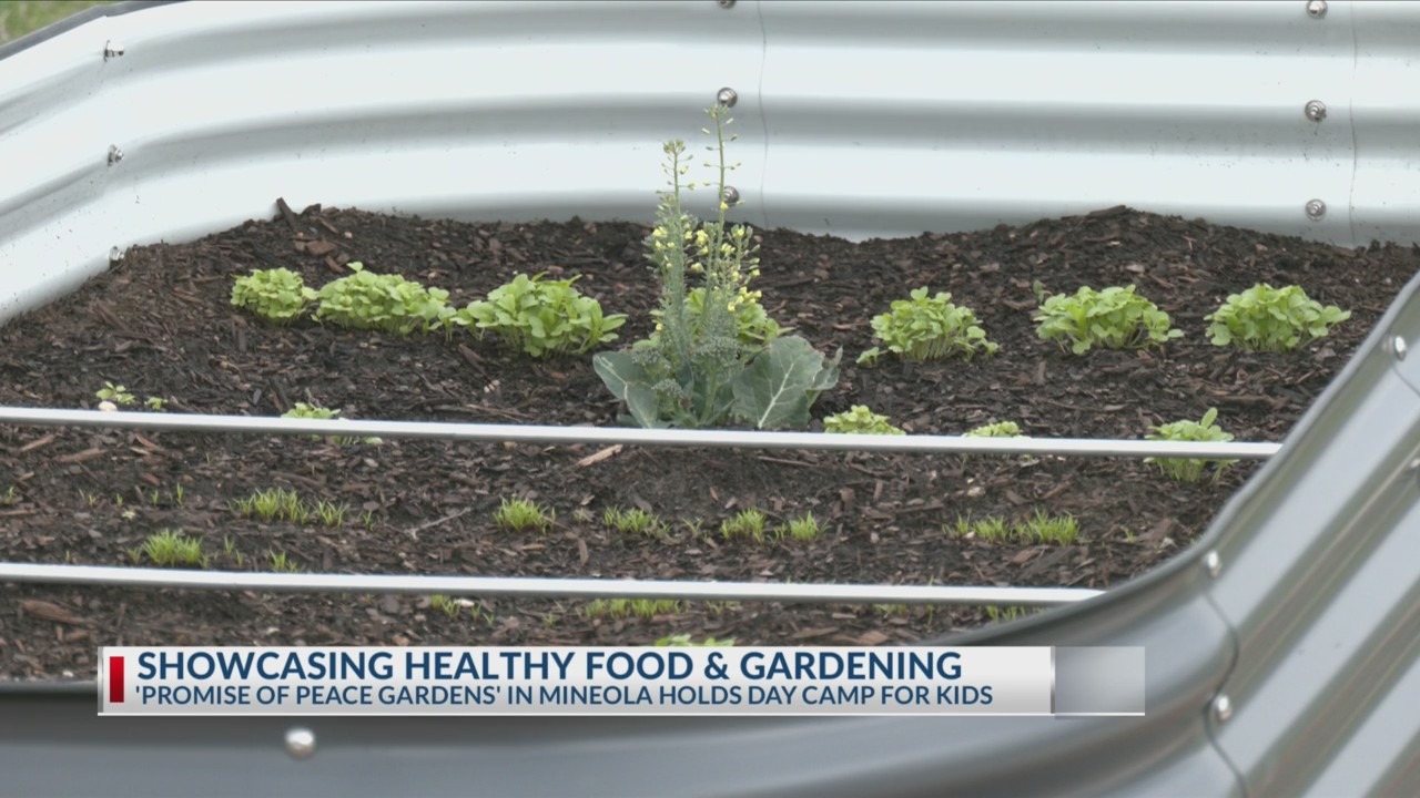 Local kids learn to grow food through nonprofit