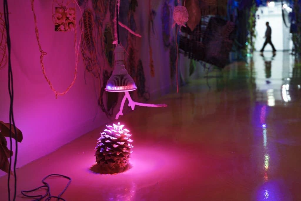 Unprecedented Growth: A Review of “Through the Hothouse” by Aimée Beaubien at HPAC