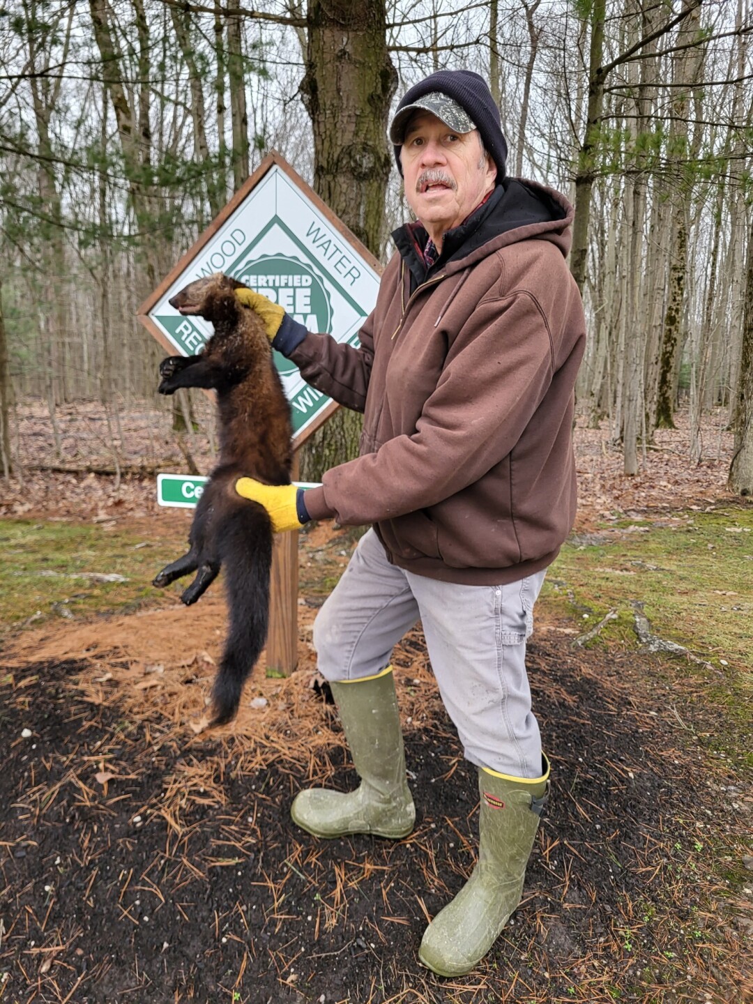 An animal that was extirpated from Northeast Ohio is making a comeback