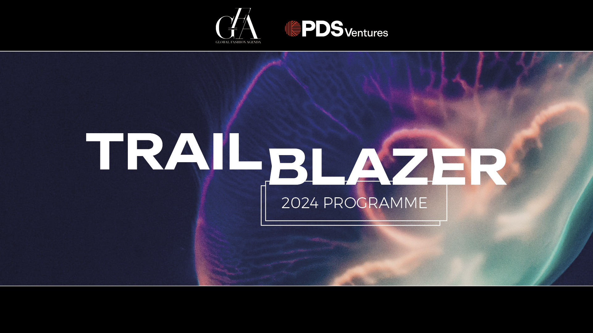 Trailblazer Programme