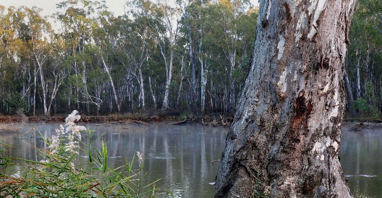 NSW Nature Conservation Council v NSW Water and Environment Ministers discontinued I Australian Rural & Regional News