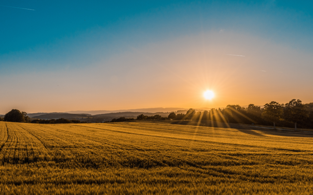 European food innovation alliance launches €30m regenerative agriculture initiative