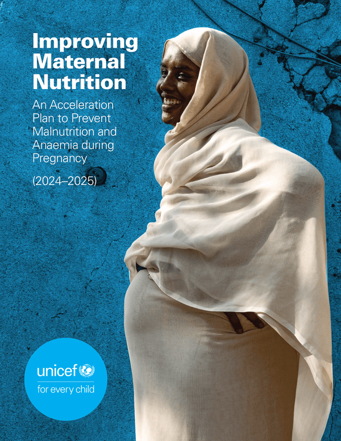 Improving Maternal Nutrition – An Acceleration Plan to Prevent Malnutrition and Anaemia during Pregnancy (2024–2025)