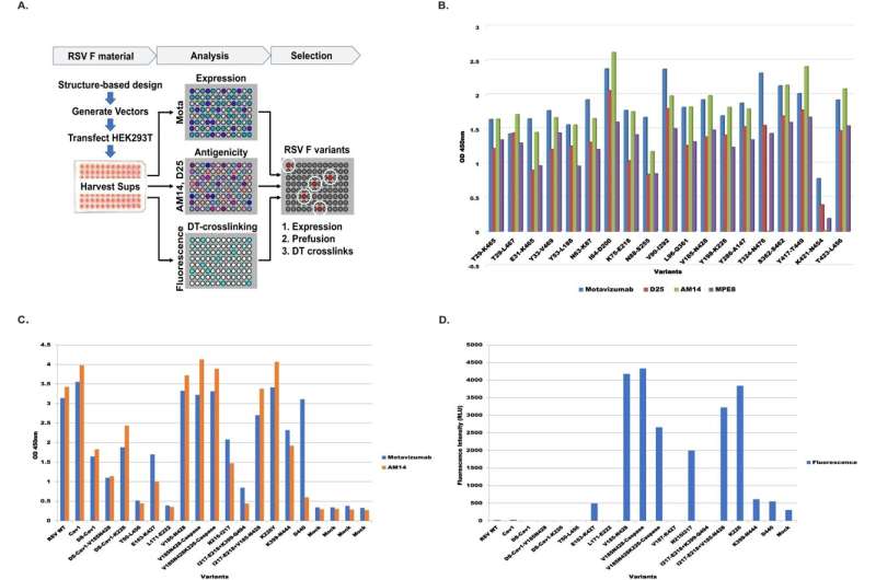 New study explores next-generation vaccine technology for RSV