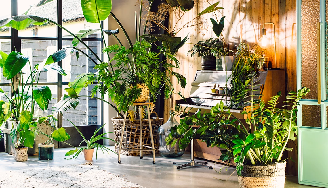 6 Chic Ways to Use Plants in Your Home Decor – and Why You Should