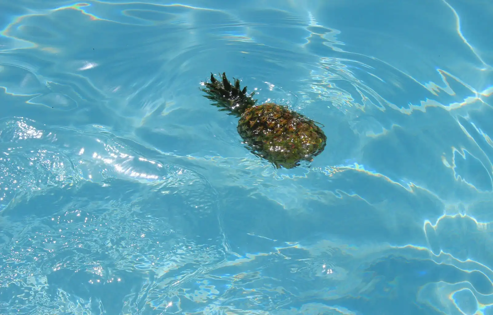 Anna Schultz-Pineapple In Pool