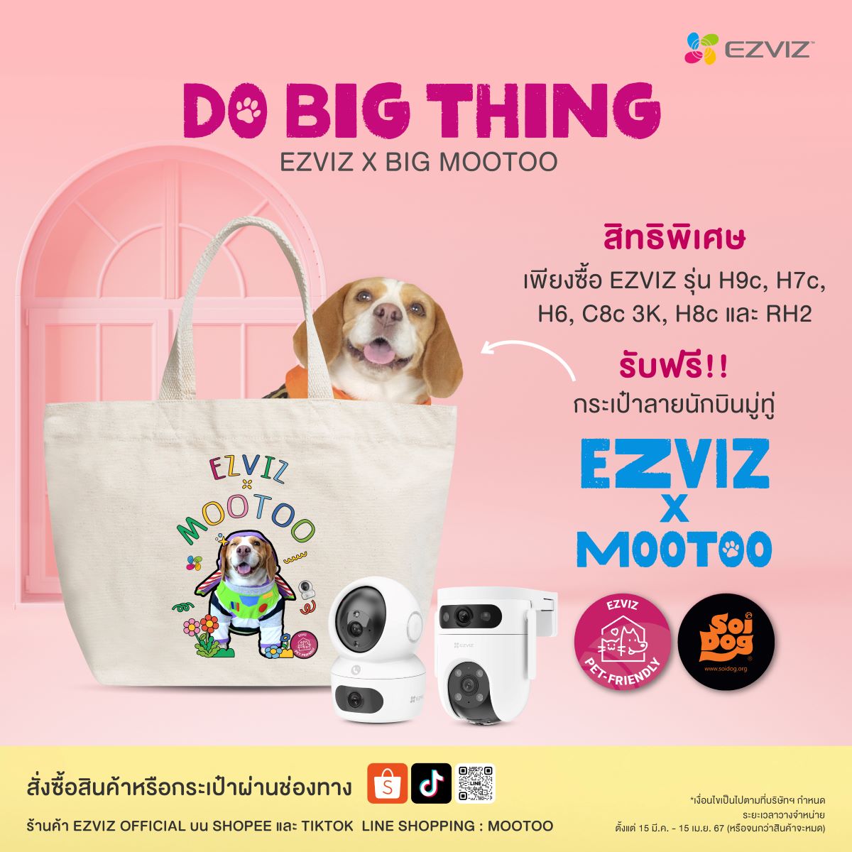 อีซี่วิซชวนลูกค้าร่วมส่งต่อความสุข สู่น้องหมาไร้บ้าน จับมือ Pet Influencer Big MooToo จัดแคมเปญ “Do Big Thing”