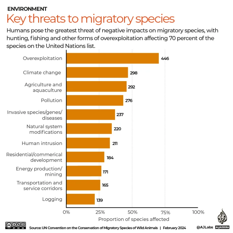 INTERACTIVE-migratory_species