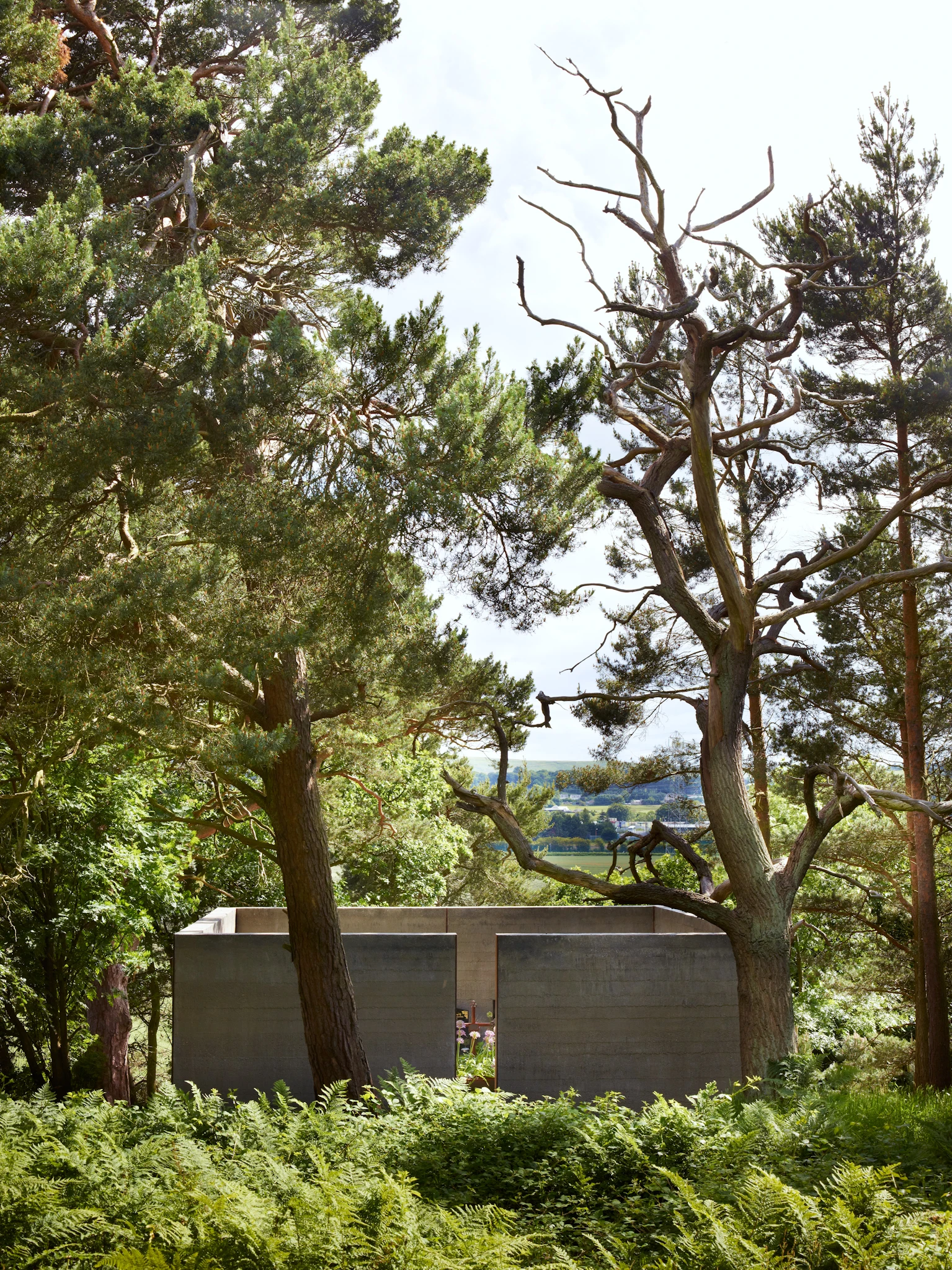 Sculptures in the woods