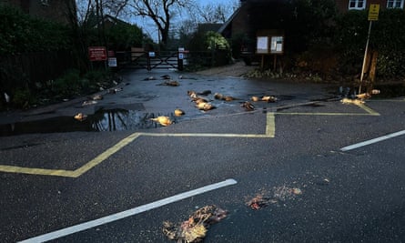 Dozens of dead wild animals dumped outside Hampshire shop