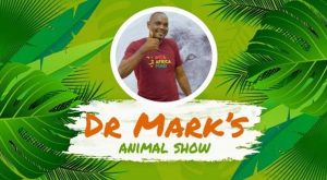 African wildlife: Dr Mark’s Animal Show premieres on Showmax