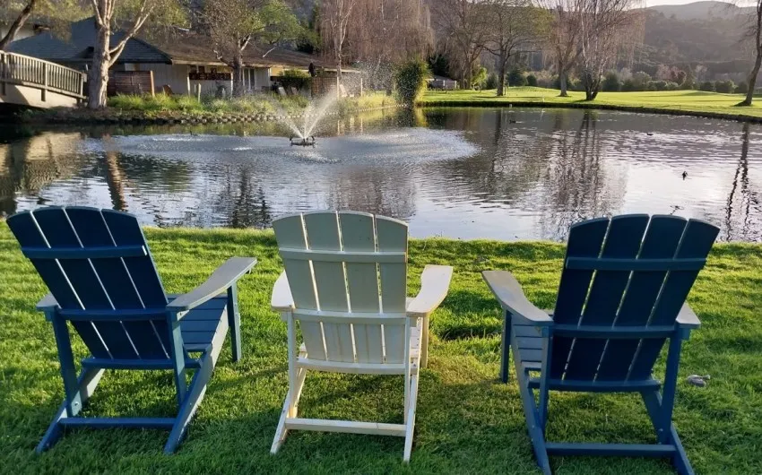 A Close Escape down in the Carmel Valley