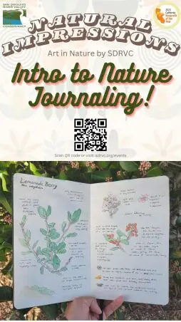 Intro to Nature Journaling - A Natural Impressions: Art in Nature Program 