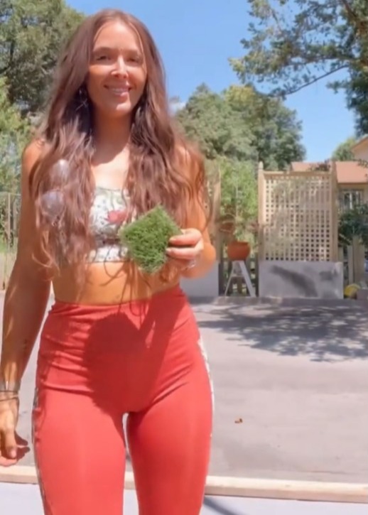 Woman’s yard transformation is controversial but she ‘never has to mow again’