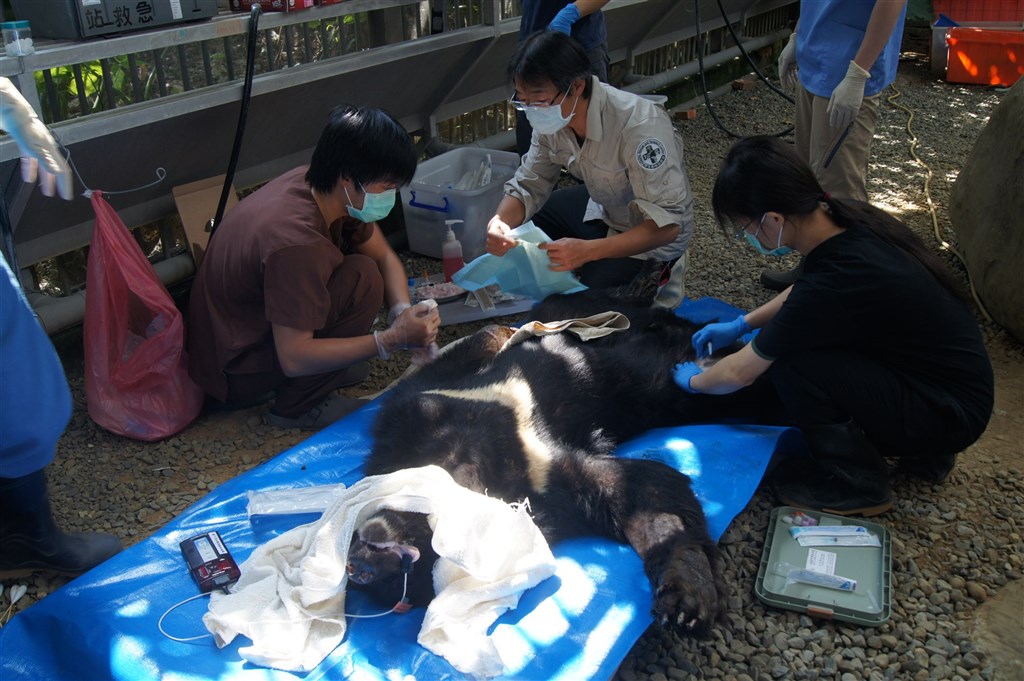 MOA wildlife rescue center treats 14,000 wild animals in past 30 years