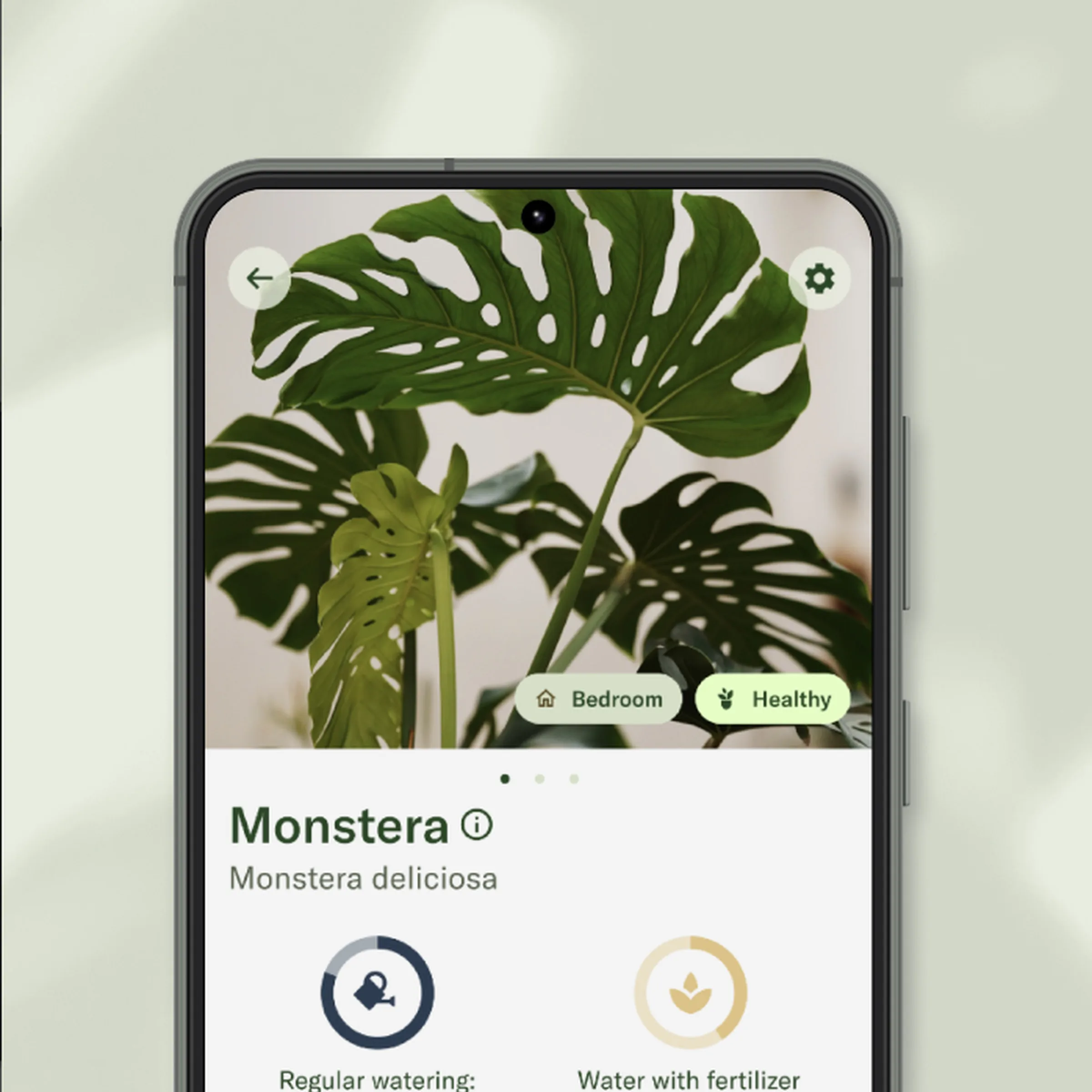 Screenshot of plant.