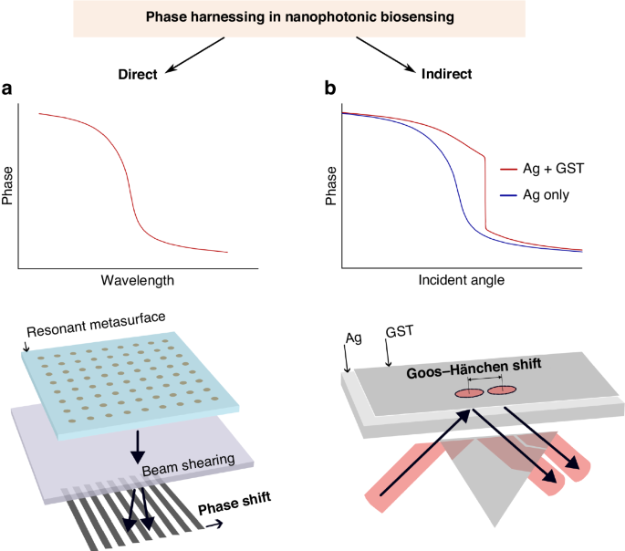 Phase-driven progress in nanophotonic biosensing