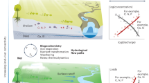 Warming waters lead to increased habitat suitability for juvenile bull sharks (Carcharhinus leucas)