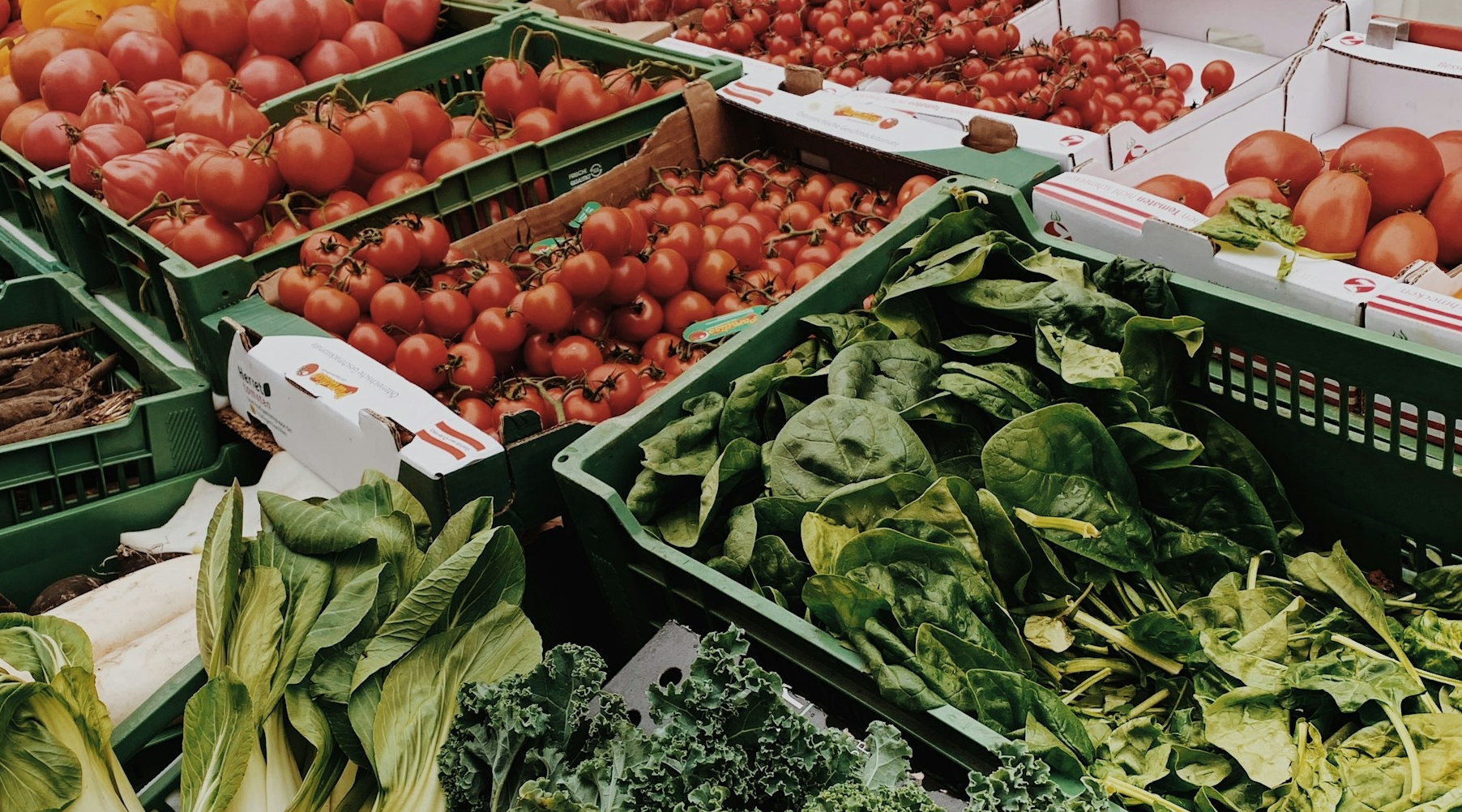 Alleviating Food Insecurity Using Nutrition Education Programs