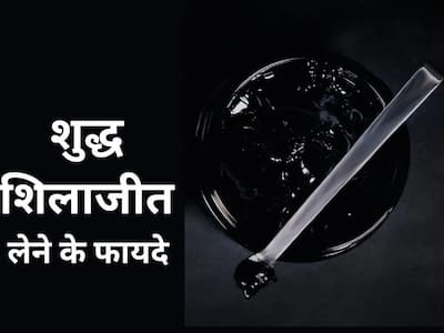 Foods To Avoid With Shilajit | शिलाजीत खा रहे हैं तो भूलकर भी न खाएं ये 6 प्रकार के भोजन, फायदे ही जगह हो सकता है नुकसान