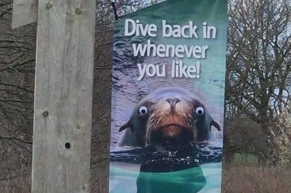 Pranksters pick up viral googly eye trend and give Yorkshire Wildlife Park animals a new look