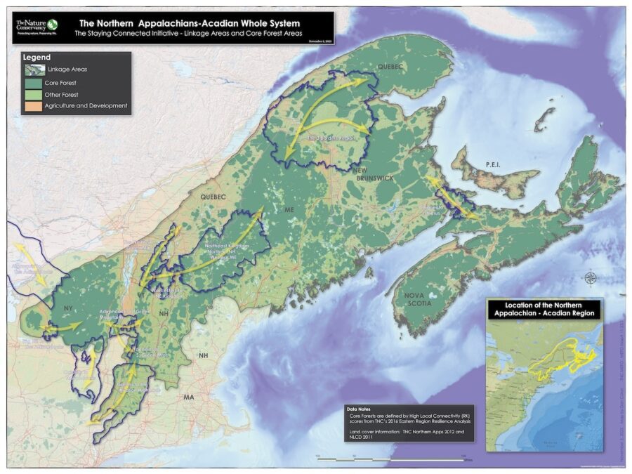 Adirondacks could be critical link for wildlife migration, climate resilience