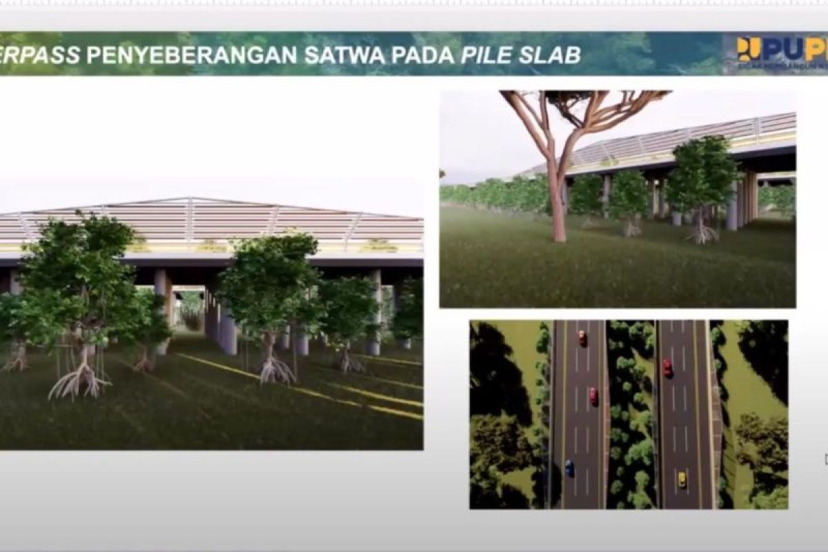 OIKN to build wildlife crossings to preserve biodiversity in Nusantara