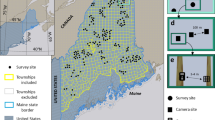 Mammal responses to global changes in human activity vary by trophic group and landscape